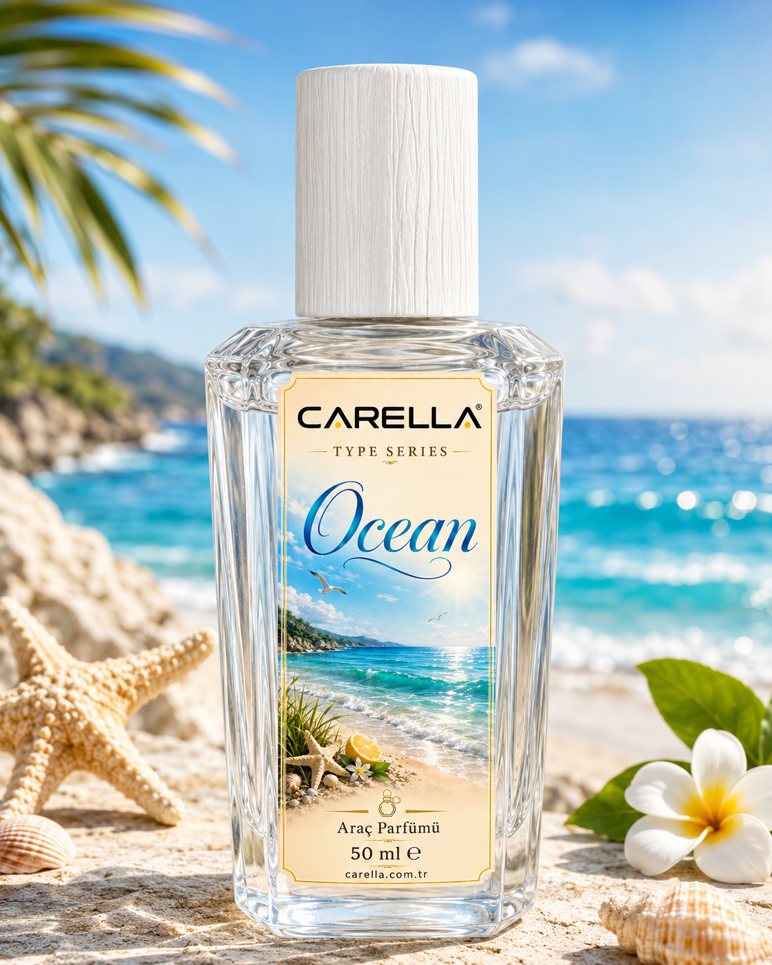 Ocean