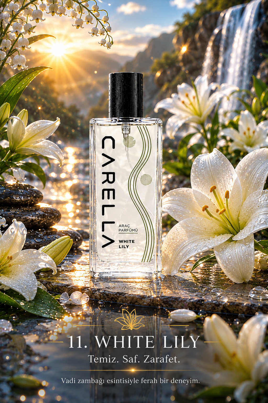 White Lily gorsel 2