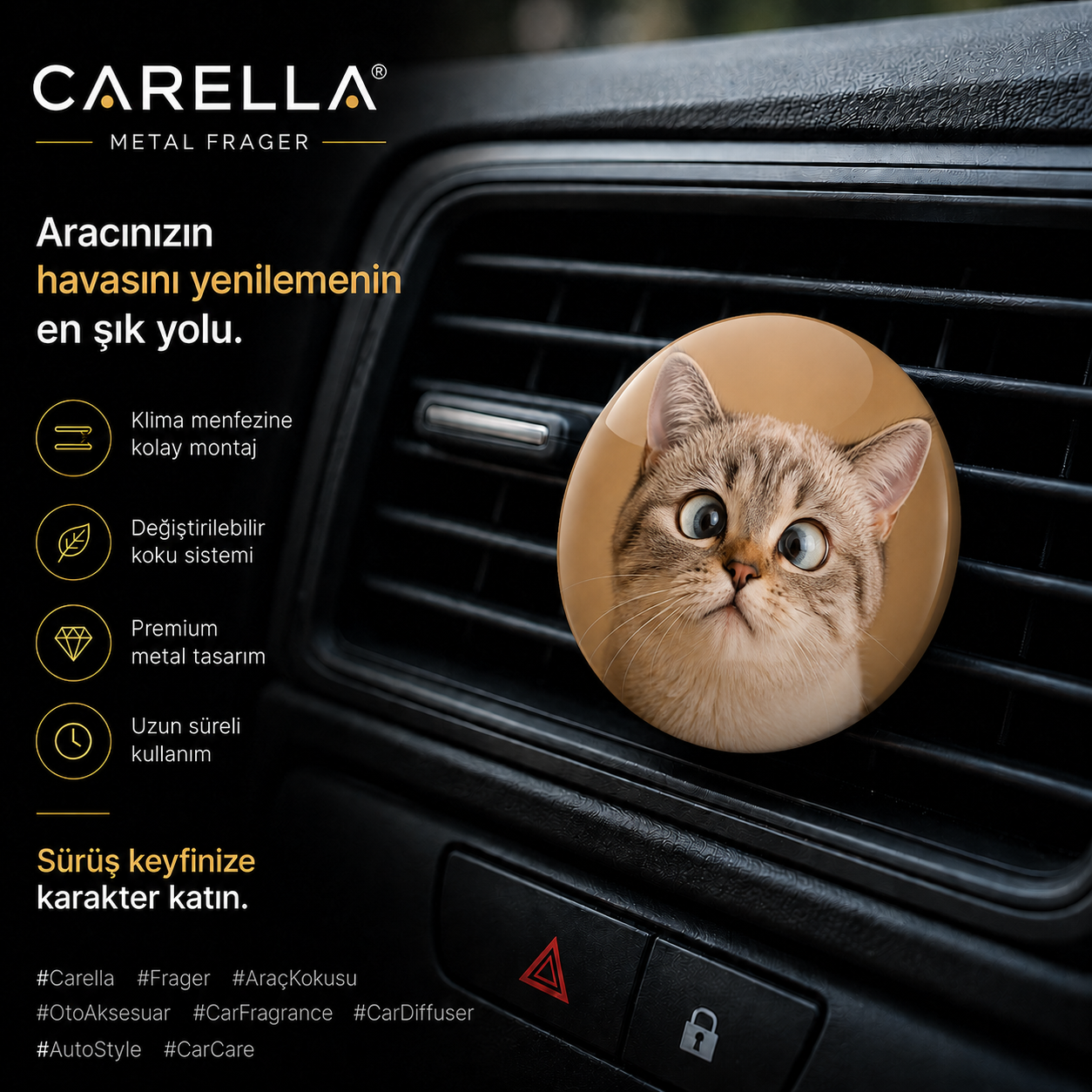 Curious Cat gorsel 2