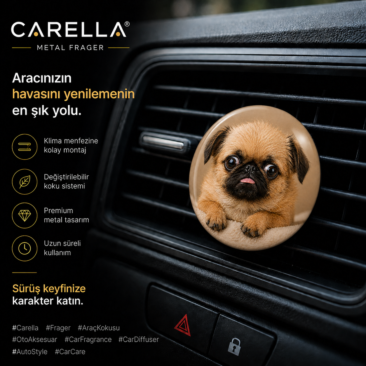Pug Puppy gorsel 2
